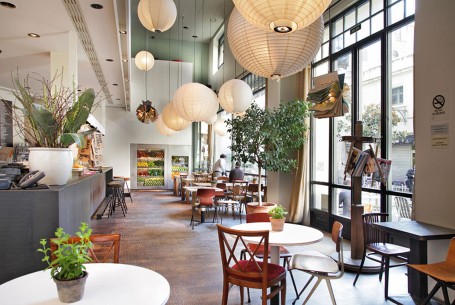 Bar Lobo
