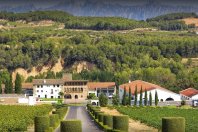 BODEGA SEGURA VIUDAS