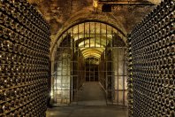 BODEGA SEGURA VIUDAS
