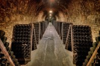 BODEGA SEGURA VIUDAS