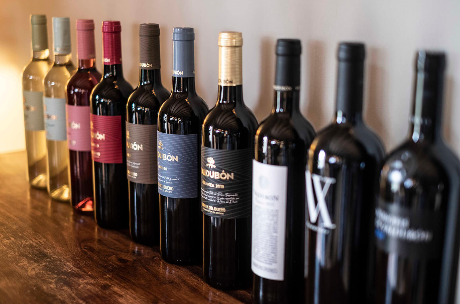 BODEGAS_VALDUBON__INDAStudio_INTERIORISMO_BODEGAS