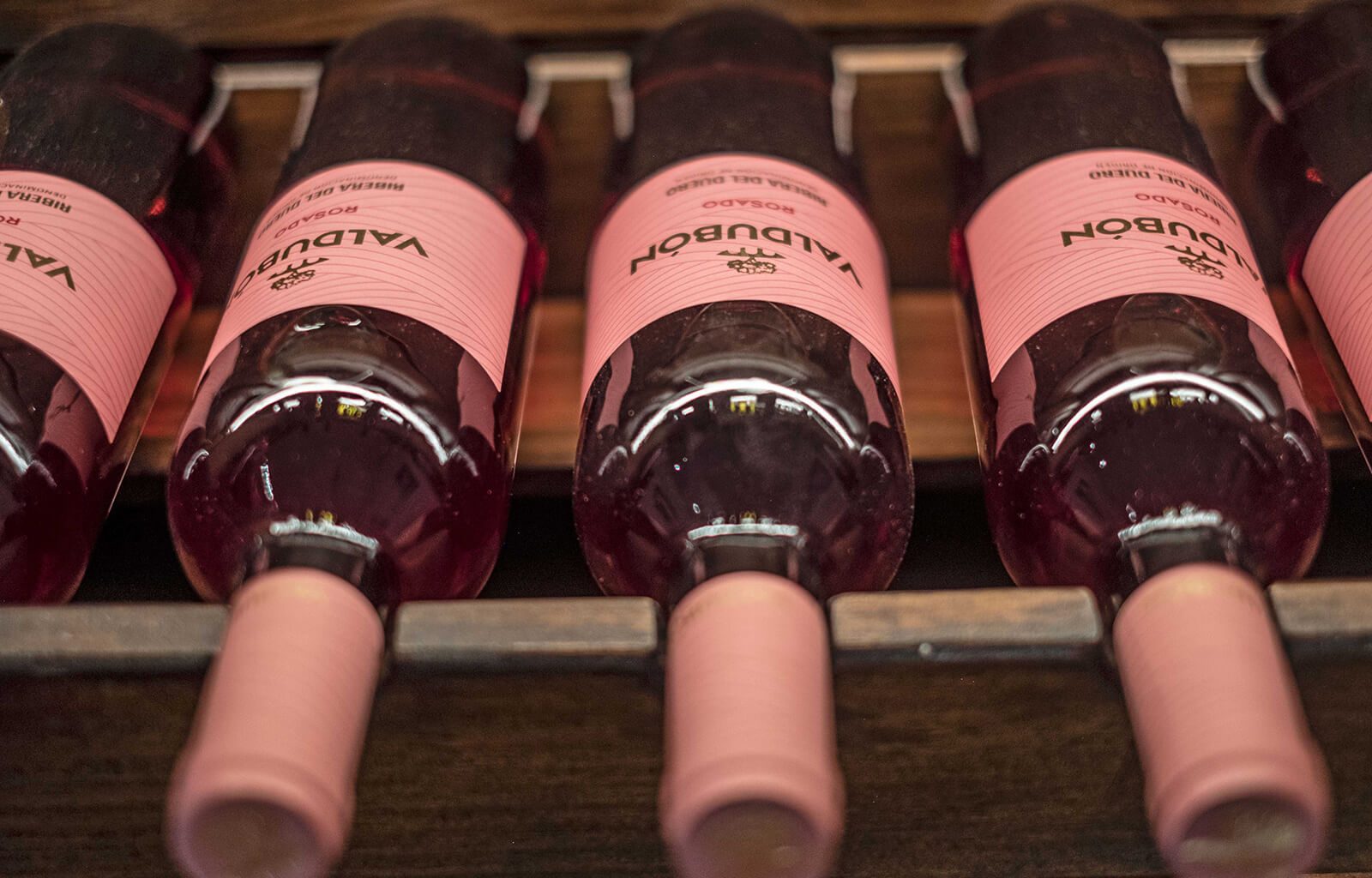 BODEGAS_VALDUBON__INDAStudio_INTERIORISMO_BODEGAS