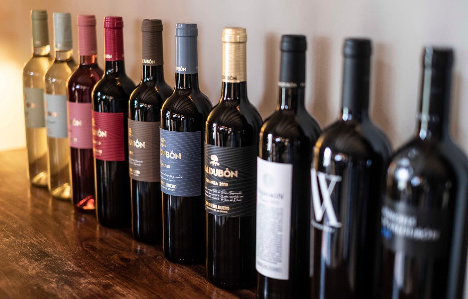 BODEGAS_VALDUBON__INDAStudio_INTERIORISMO_BODEGAS