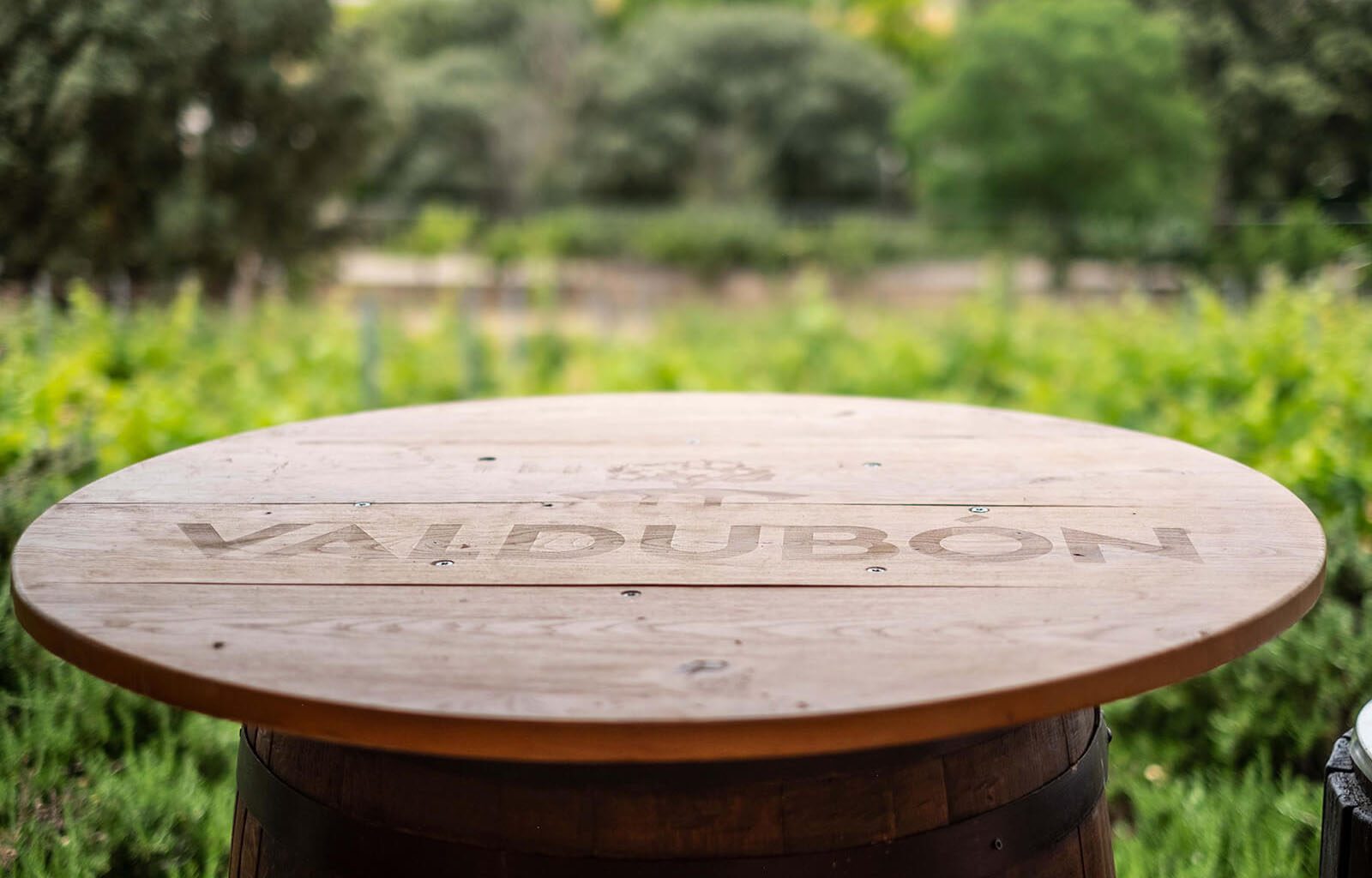 BODEGAS_VALDUBON__INDAStudio_INTERIORISMO_BODEGAS