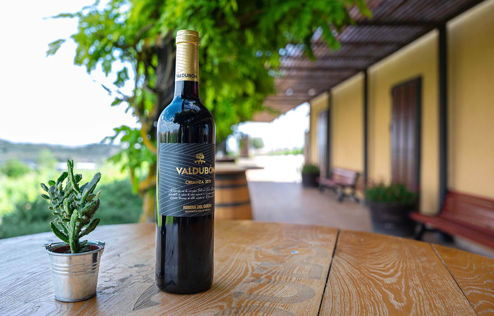 BODEGAS_VALDUBON__INDAStudio_INTERIORISMO_BODEGAS