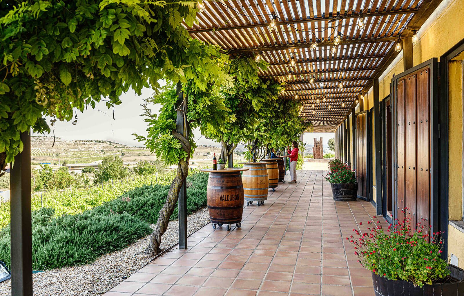 BODEGAS_VALDUBON__INDAStudio_INTERIORISMO_BODEGAS